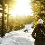 Marche nordique en hiver : quels équipements contre le froid ?